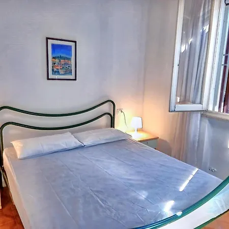 Amazing With Garden Apartment